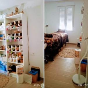 Chica busca chico en Castellón: 