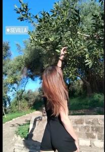 610911228: Virtual en Guadalajara