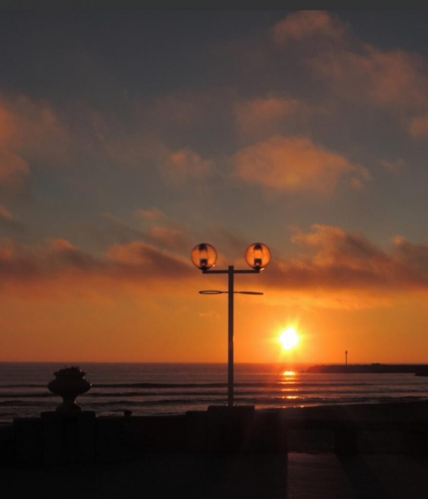 Chico busca chica en Vizcaya: 