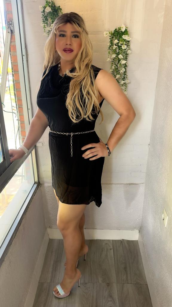 Travesti en Valladolid: 