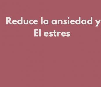 Chica busca chico en Zaragoza: 