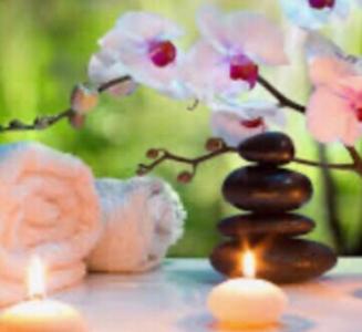 Chica busca chico en Palencia: 