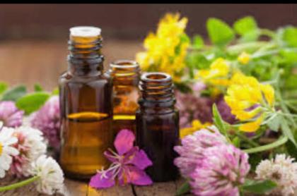 614077693: Chica busca chico en Palencia