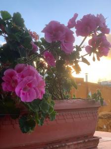 605741501: Chica busca chico en Cádiz