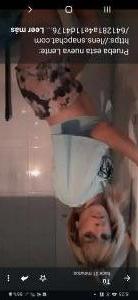 Chica busca chico en Vizcaya: 