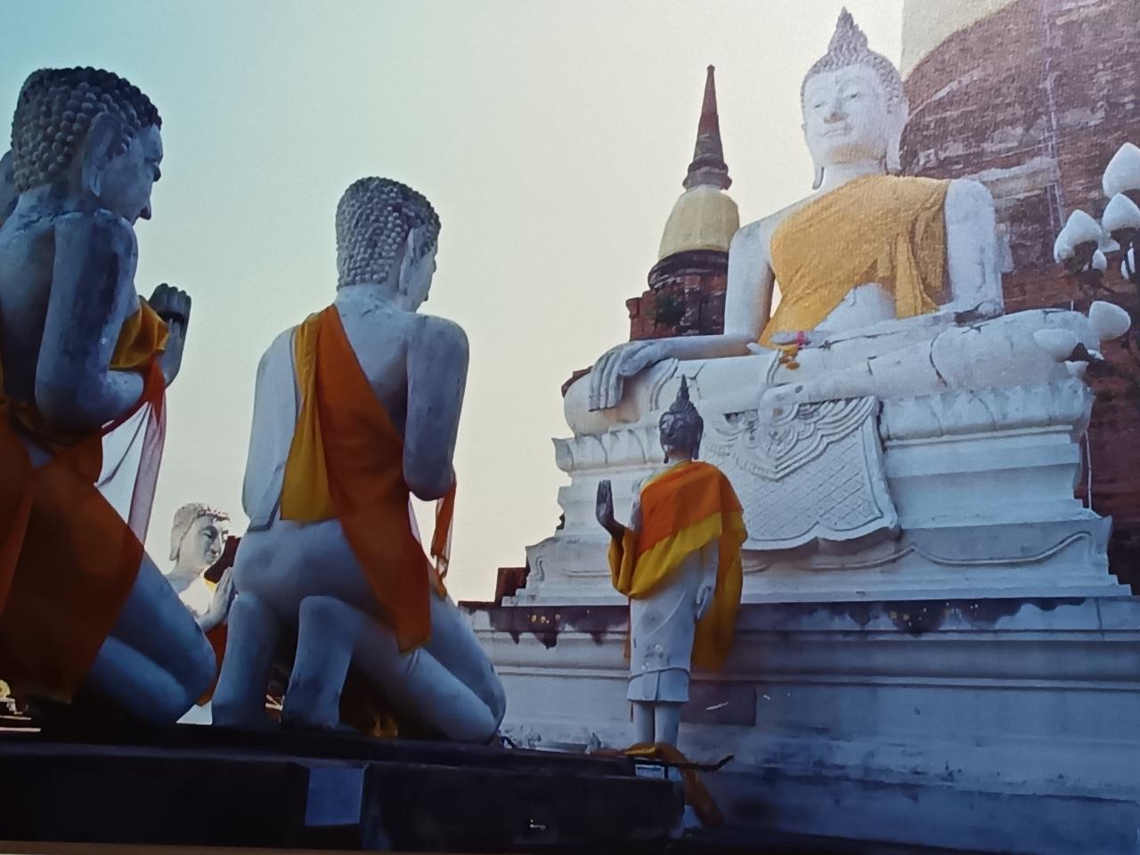 Chico busca chica en Tenerife: 