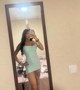 678667377: Transexual en Zaragoza