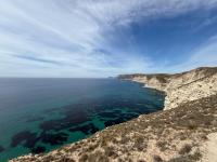 643934016: Chica busca chico en Valencia