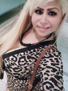 685794004: Virtual en León