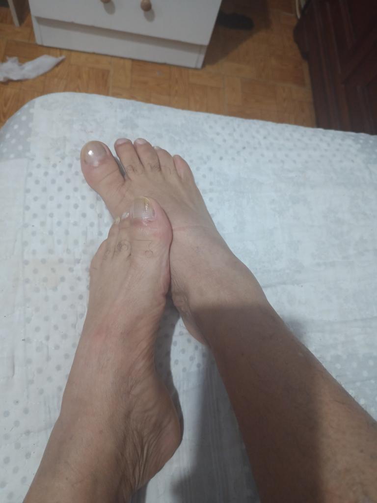 Transexual en Burgos: 