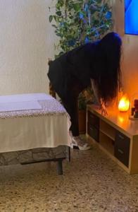 623242300: Travesti en Zaragoza