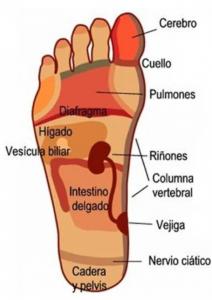 614927313: Chica busca chico en Tarragona