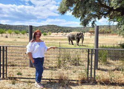 Chica busca chico en Lugo: 