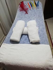 Chica busca chico en Navarra: 