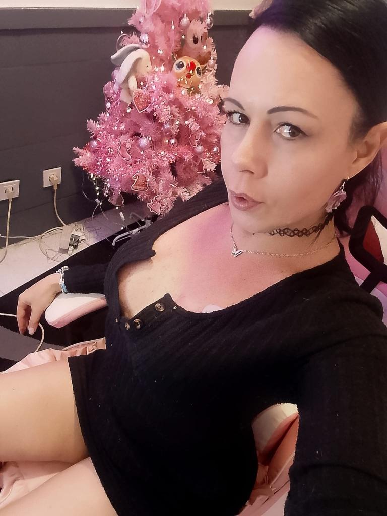 Transexual en Vizcaya: Transexuales y Travestis