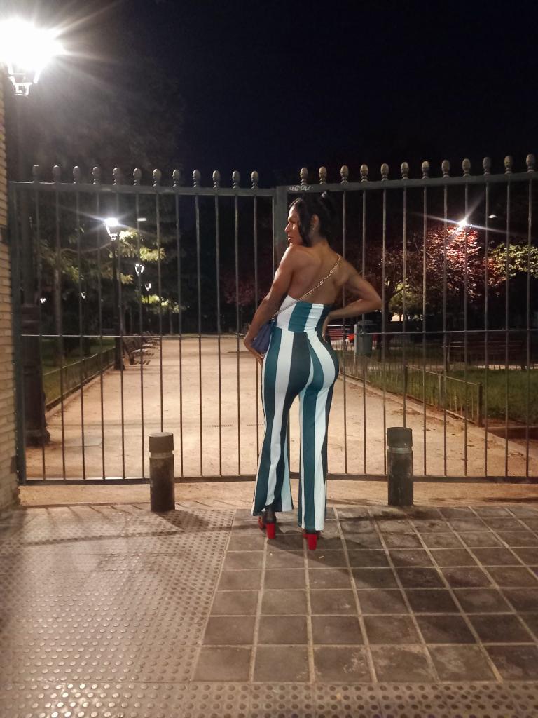 Travesti en Valencia: 