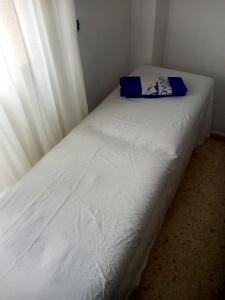 Travesti en Málaga: 