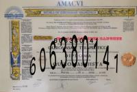 606380141: Travesti en Madrid