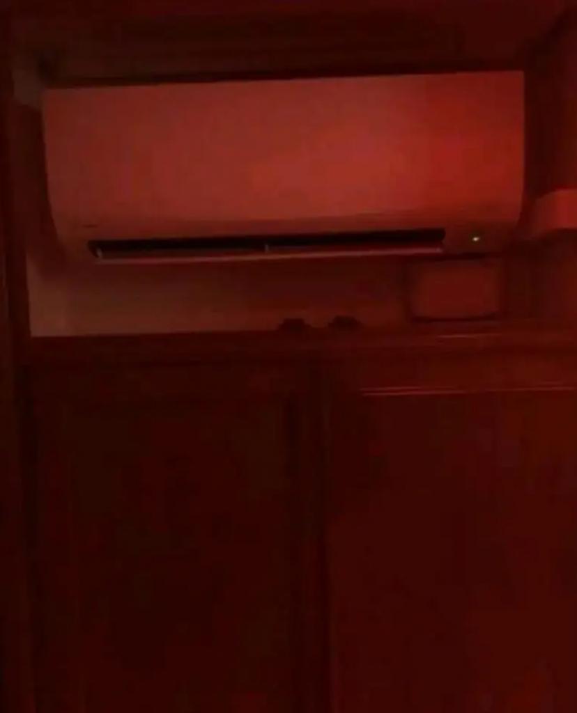 Travesti en Valencia: 