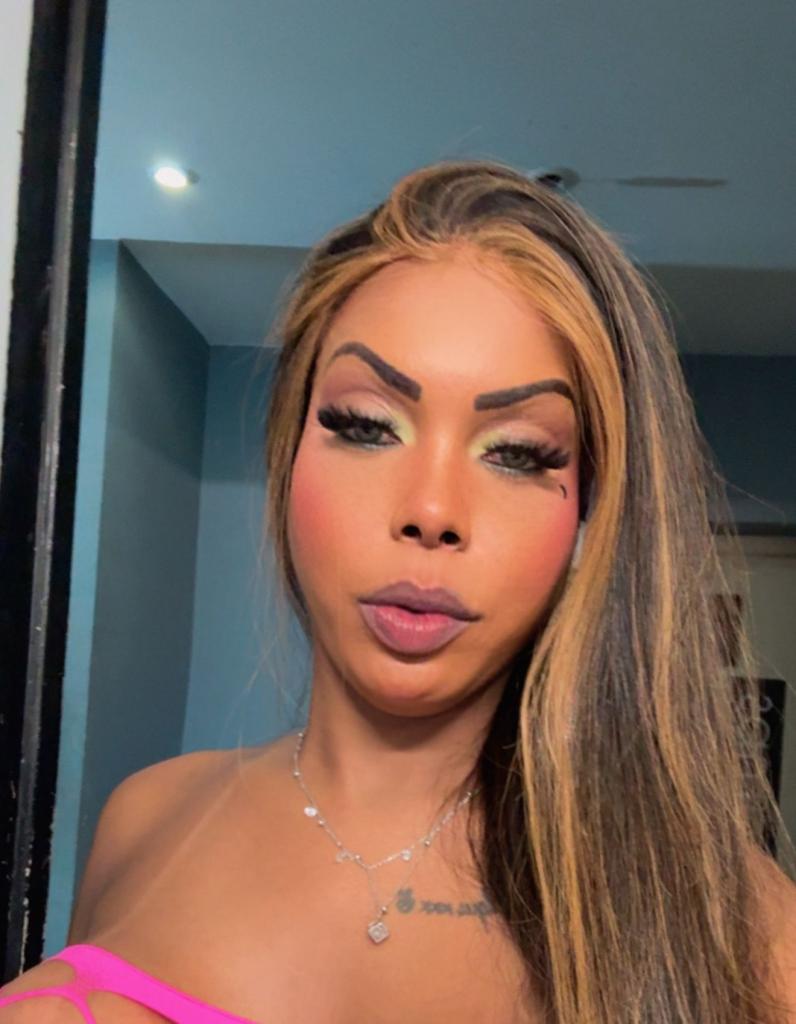 Travesti en Vizcaya: Transexuales y Travestis