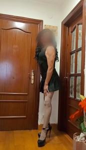 Transexual en Navarra: 