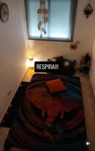 Chica busca chico en Las Palmas: 