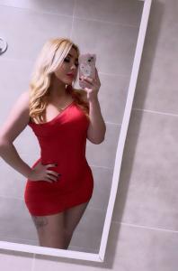 604309203: Travesti en Lérida