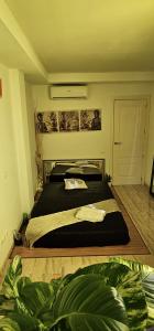 Chica busca chico en Mallorca: 