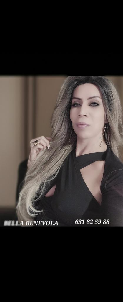 Travesti en Valencia: 