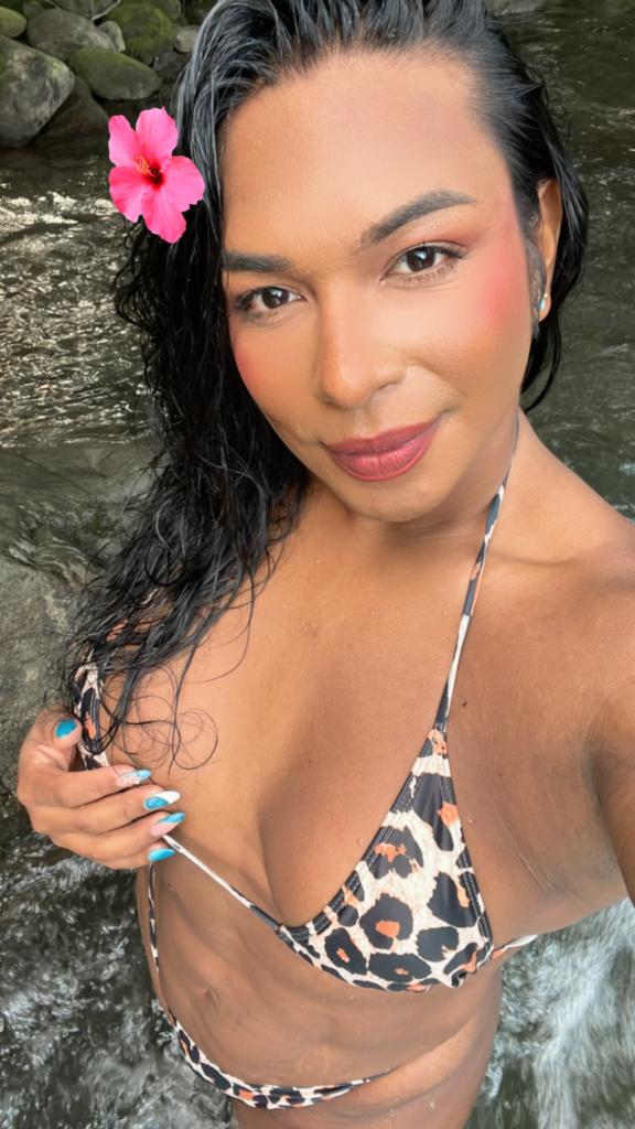 Travesti en Mallorca: 