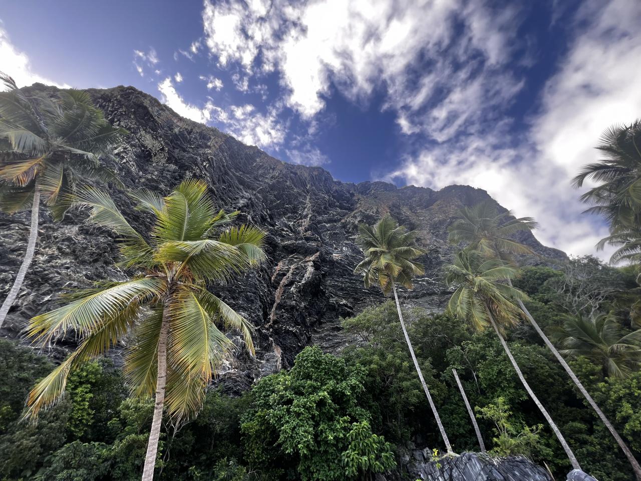 Travesti en Mallorca: 