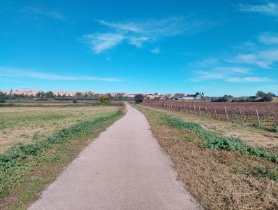 643924923: Chica busca chico en Tarragona