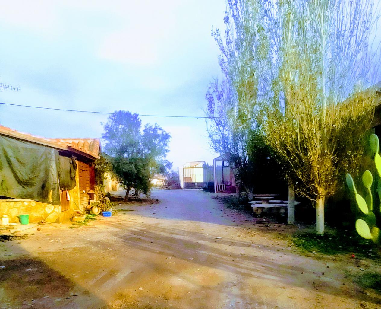 Chica busca chico en Almería: 