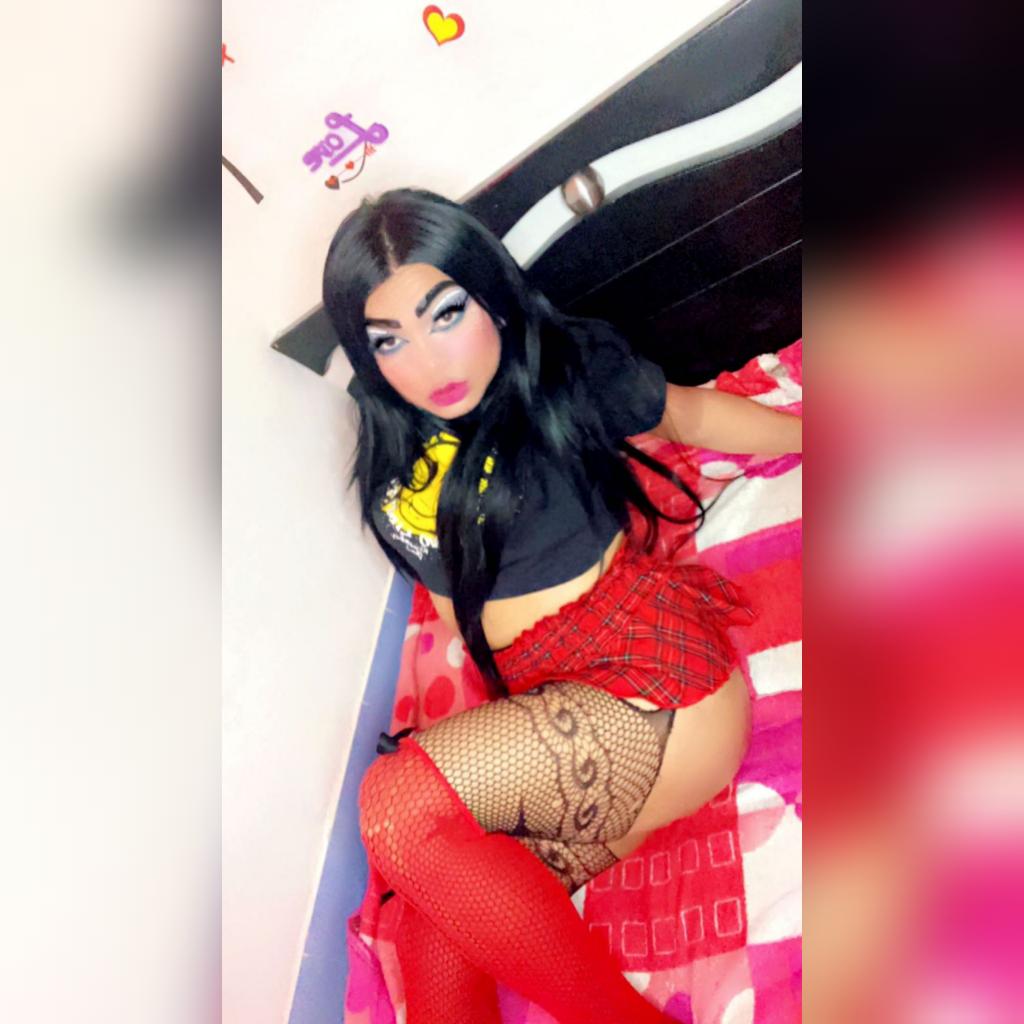Transexual en Castellón: 