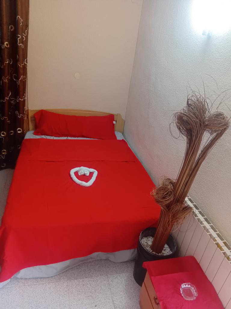 Chica busca chico en Palencia: 