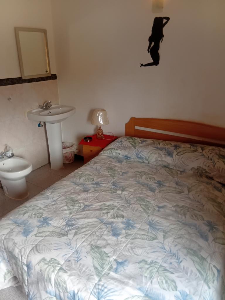 Chica busca chico en Palencia: 