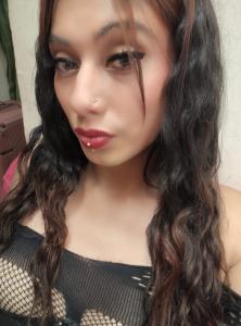 Travesti en Navarra: 