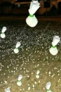 Chica busca chico en Asturias: 