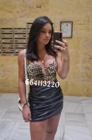 600503199: Travesti en Alicante