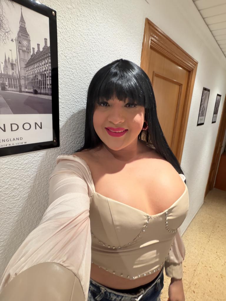 Travesti en Castellón: 