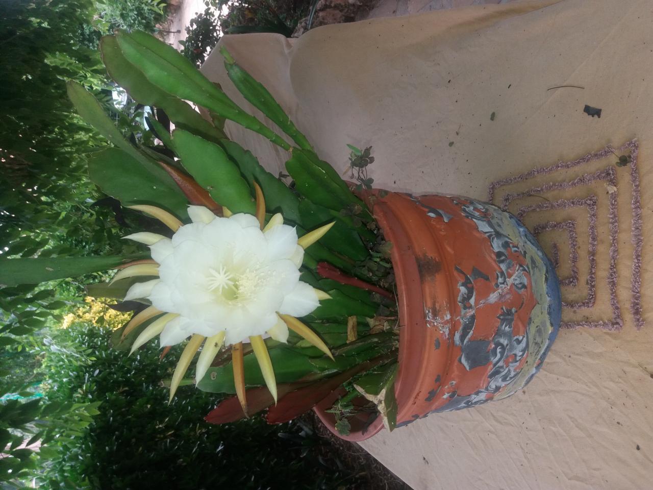 Chica busca chico en Tarragona: 