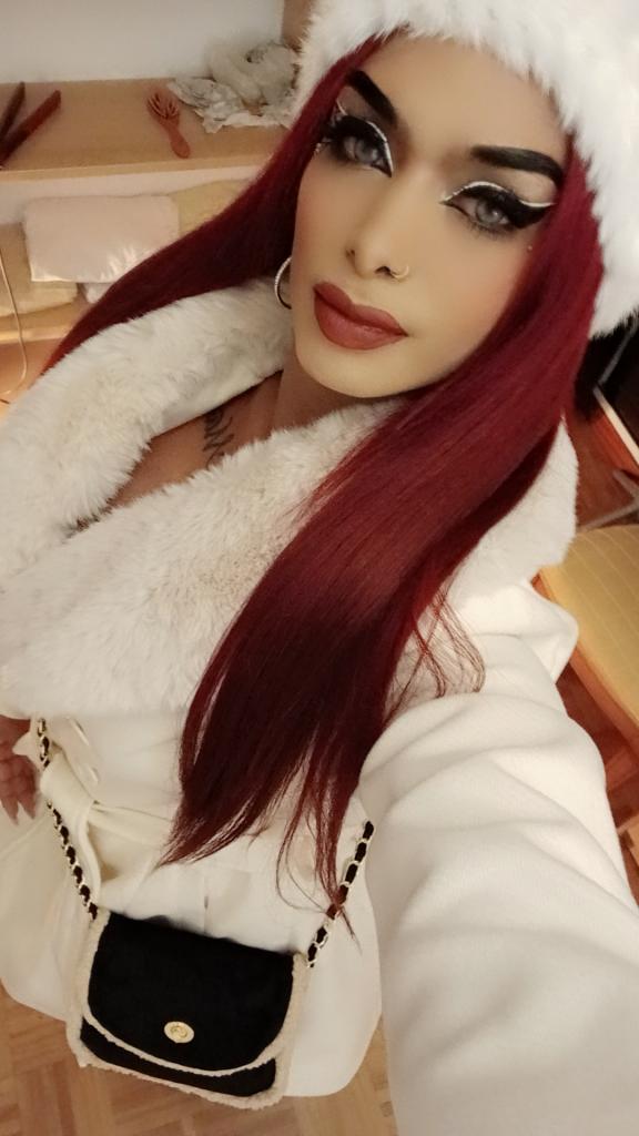 Transexual en Álava: Transexuales y Travestis