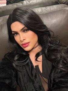 Transexual en Alicante: 