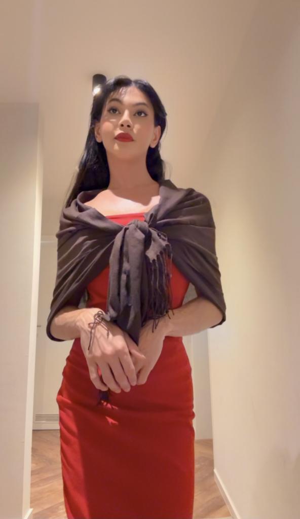 613876600: Travesti en Madrid