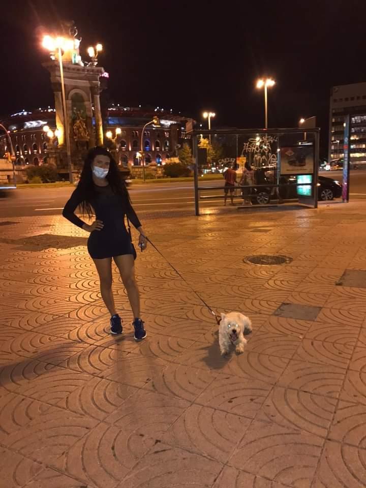 Travesti en Alicante: 