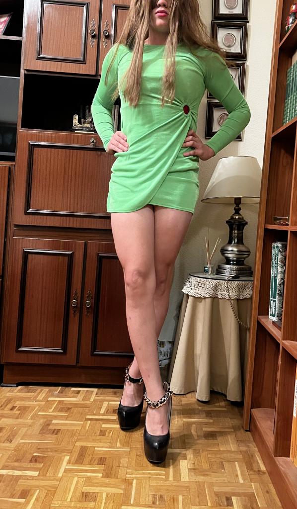 Transexual en Navarra: 