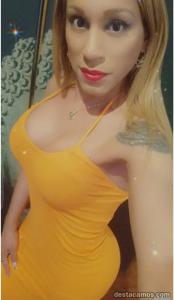 643155805: Travesti en Valencia