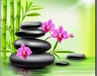 614944156: Chica busca chico en Castellón