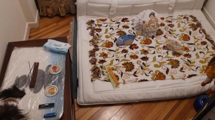 Chico busca chica en Guipúzcoa: 