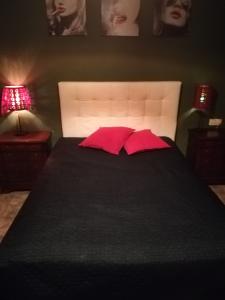 Chico busca chica en Málaga: 